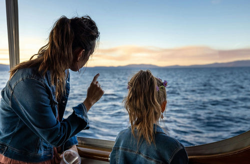 Cruise Shirt Design Ideas: 25+ Themes & Sayings