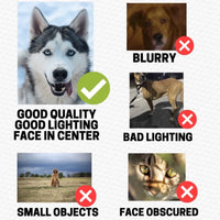 Your Pet's Mug Shot With Photo Personalized T-shirt
