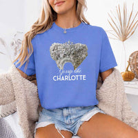 May include Gossip Like Charlotte Comfort Colors T-shirt with Regency reader graphic and relaxed unisex fit