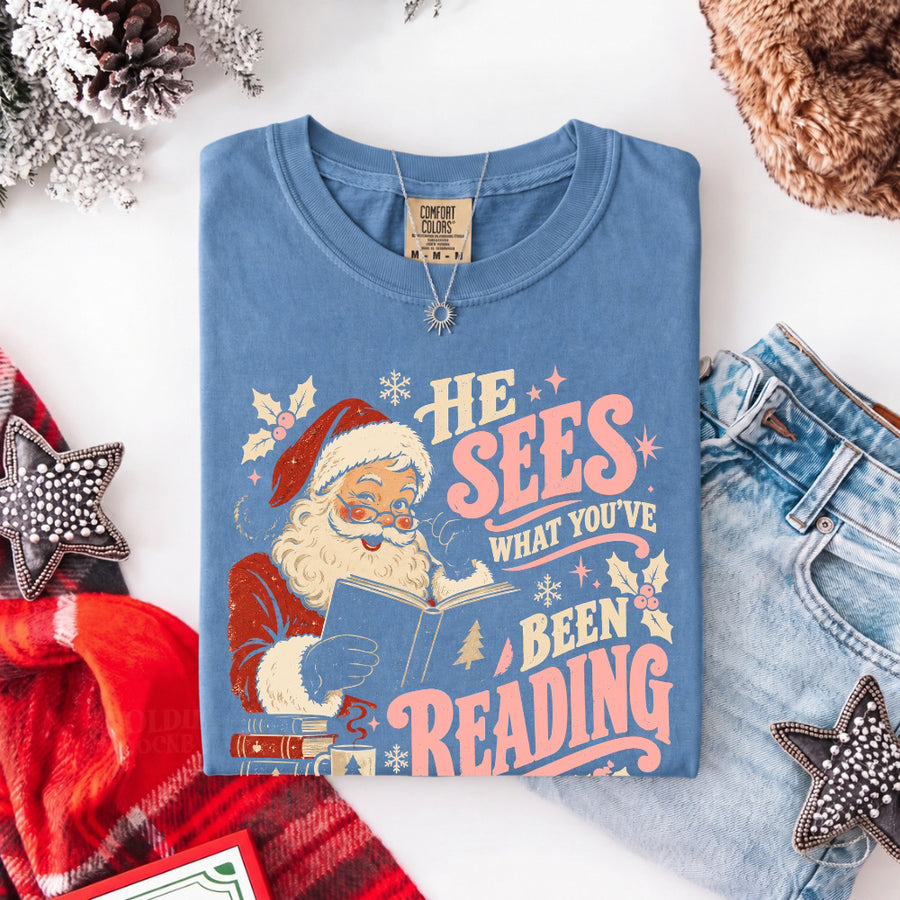 He Sees What You've Been Reading Christmas Comfort Colors T-Shirt