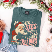 He Sees What You've Been Reading Christmas Comfort Colors T-Shirt