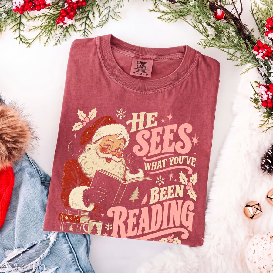 He Sees What You've Been Reading Christmas Comfort Colors T-Shirt