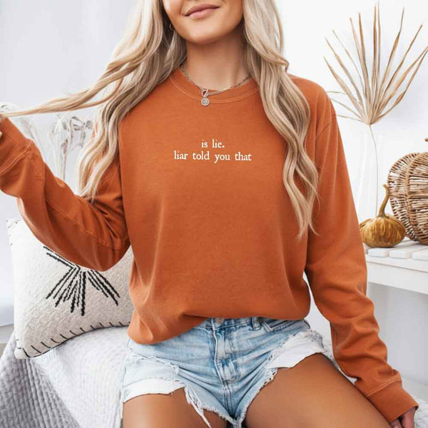 May include Is Lie, Liar Told You That Comfort Colors long sleeve shirt with hockey romance BookTok graphic and relaxed fit