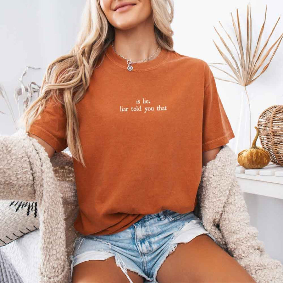 May include a person wearing a Yam Is Lie Liar Told You That Comfort Colors T-Shirt featuring rivalry inspired graphic and relaxed fit.