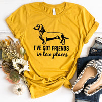 I've Got Friends in Low Places Tee